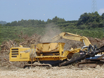 ⽊くずチップ化